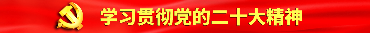 jj插bb视频在线播放认真学习贯彻落实党的二十大会议精神